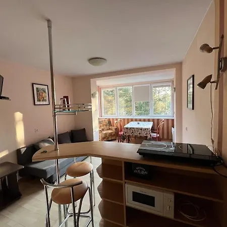 Apartment Sunny Side Up In Sventoji